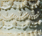 Sponge Cakes