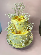 Sponge Cakes
